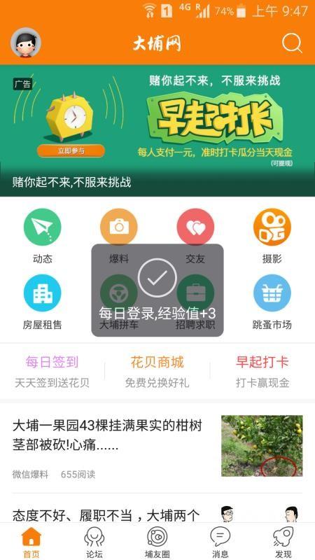 大埔网app下载,大埔网安卓版