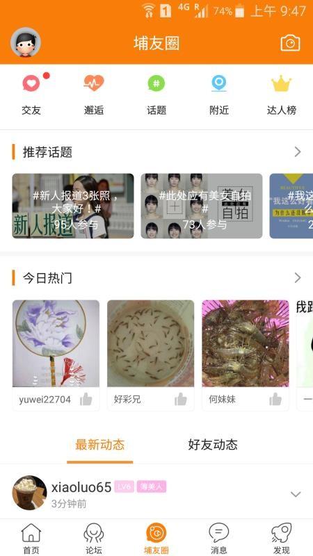 大埔网app下载,大埔网安卓版